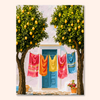 Citrus Laundry