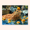 Citrus Relaxation