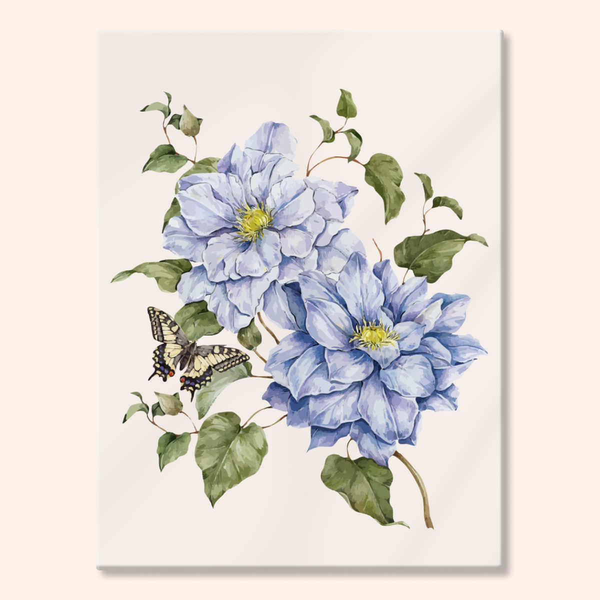 Clematis