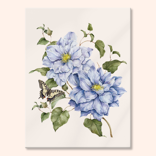 Clematis