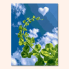Clover Clouds