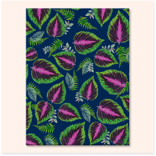 Coleus Plant Pattern