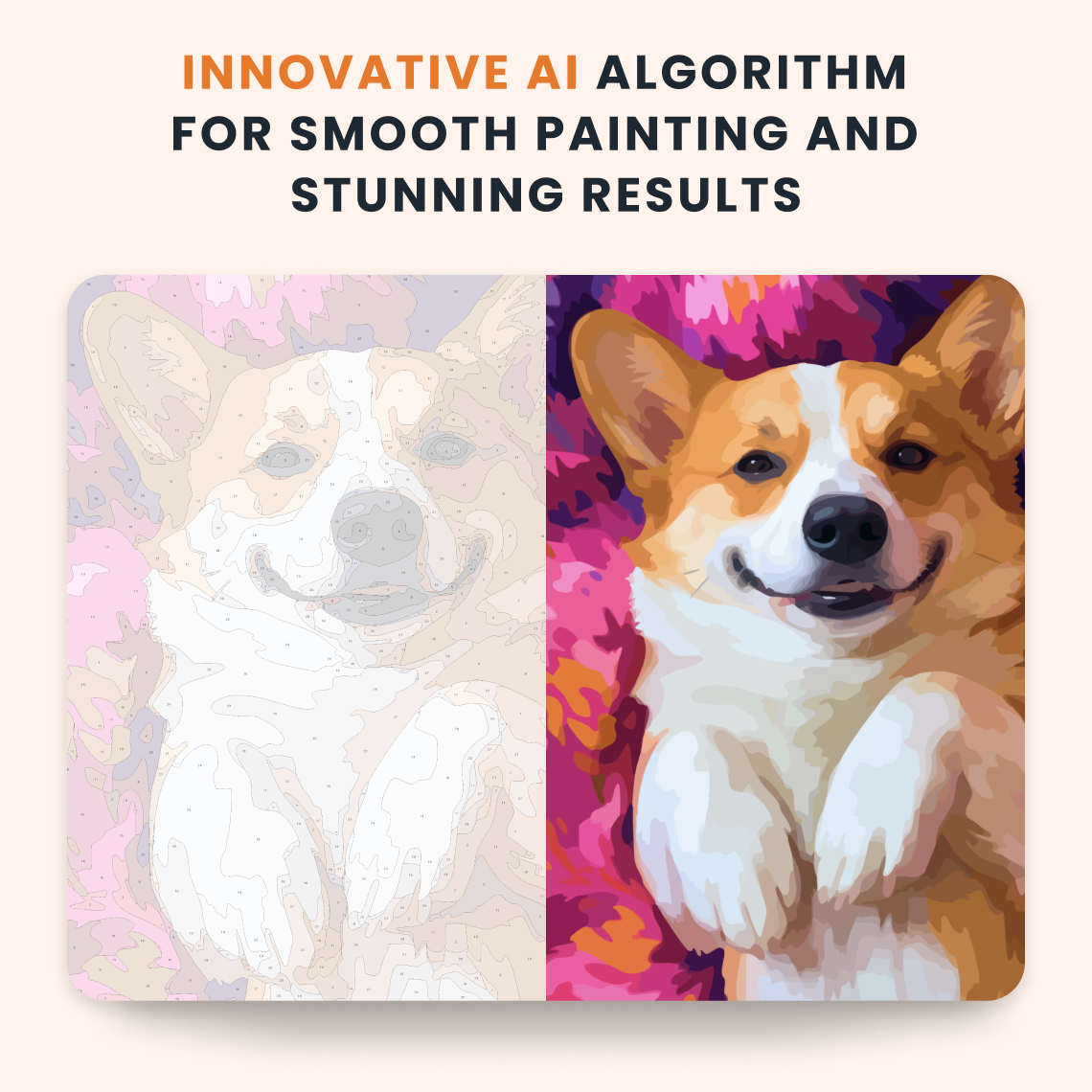 Content Corgi