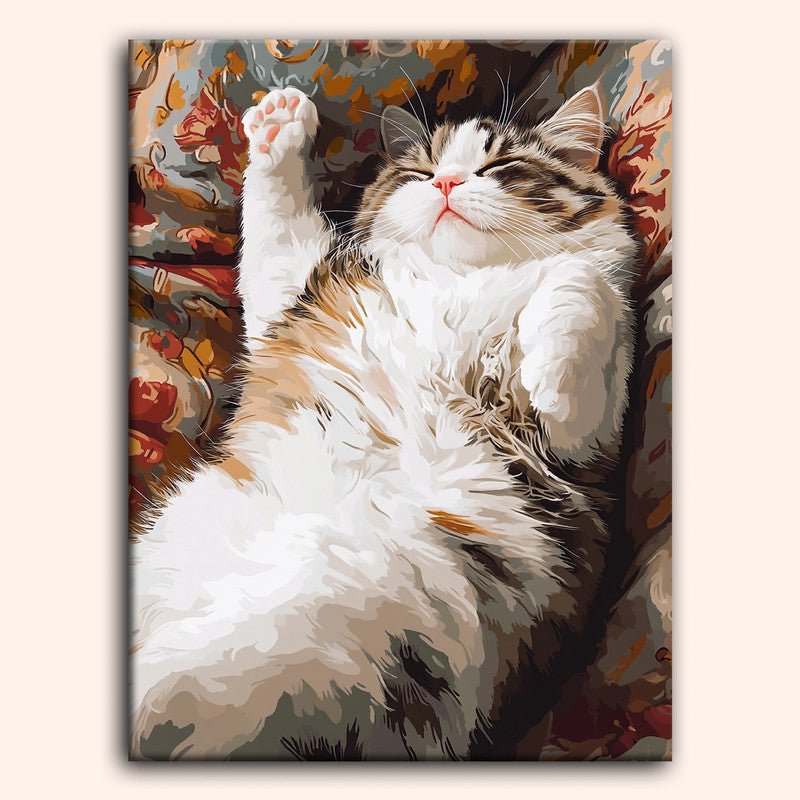 Paint by numbers - Cozy Stretch - MyArt