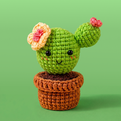 Crochet Kits