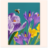 Crocus and Bee