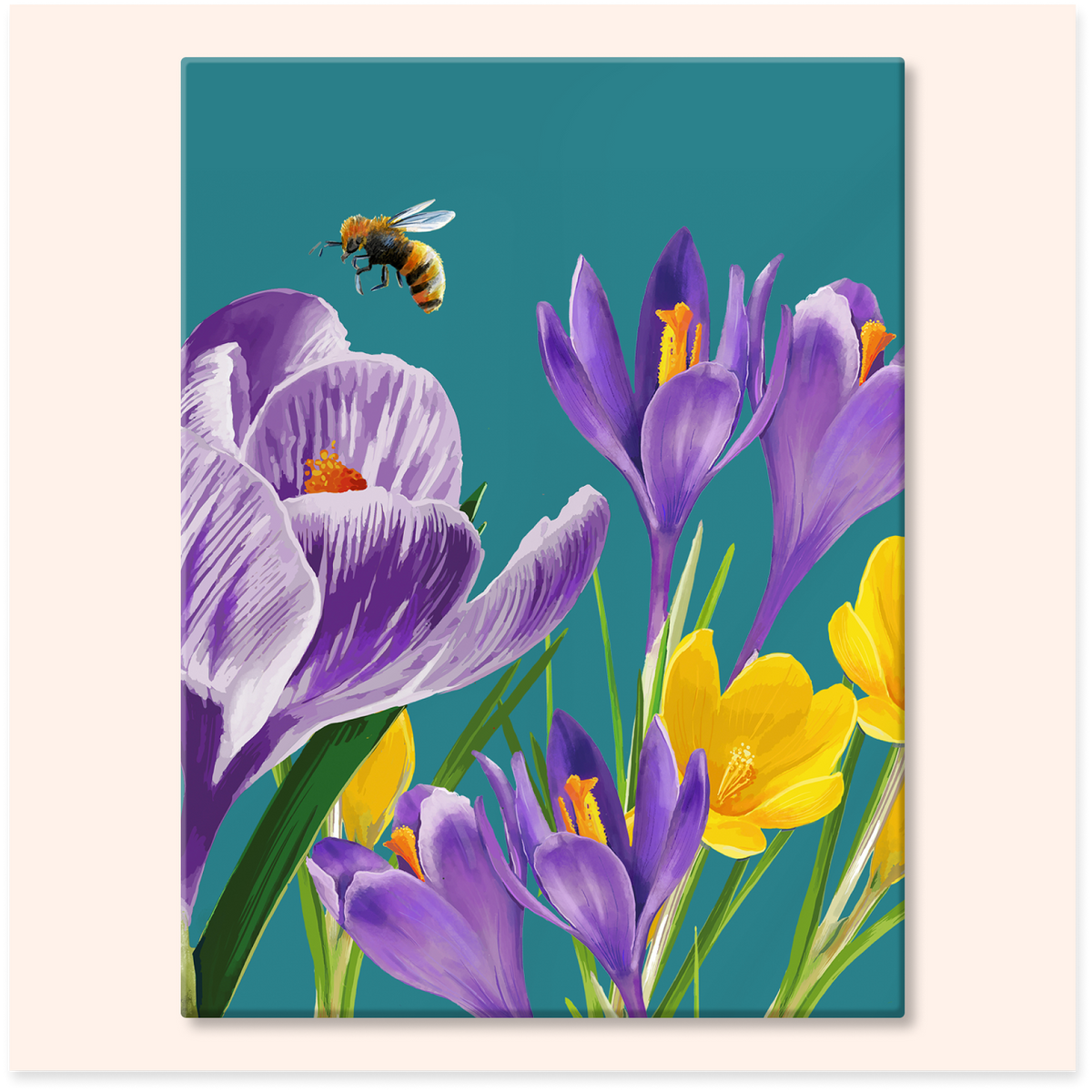 Crocus and Bee