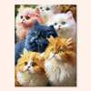 Cuddly Kittens
