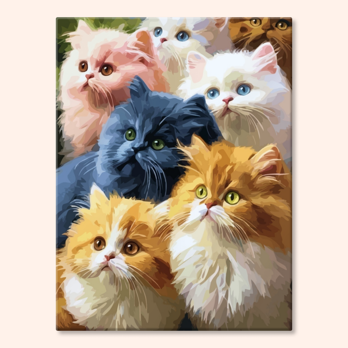 Cuddly Kittens