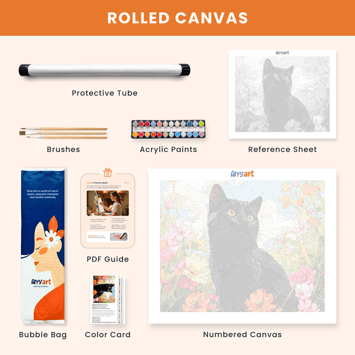 Paint by numbers - Curious Kitty - MyArt