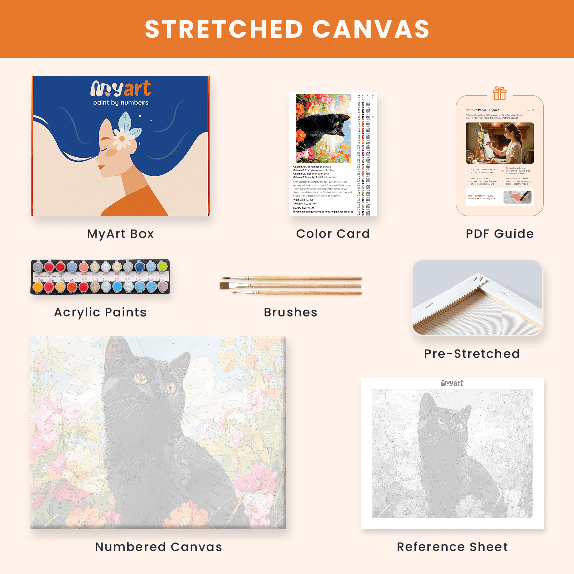 Paint by numbers - Curious Kitty - MyArt