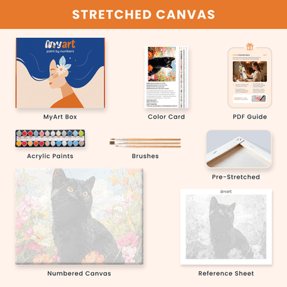 Paint by numbers - Curious Kitty - MyArt