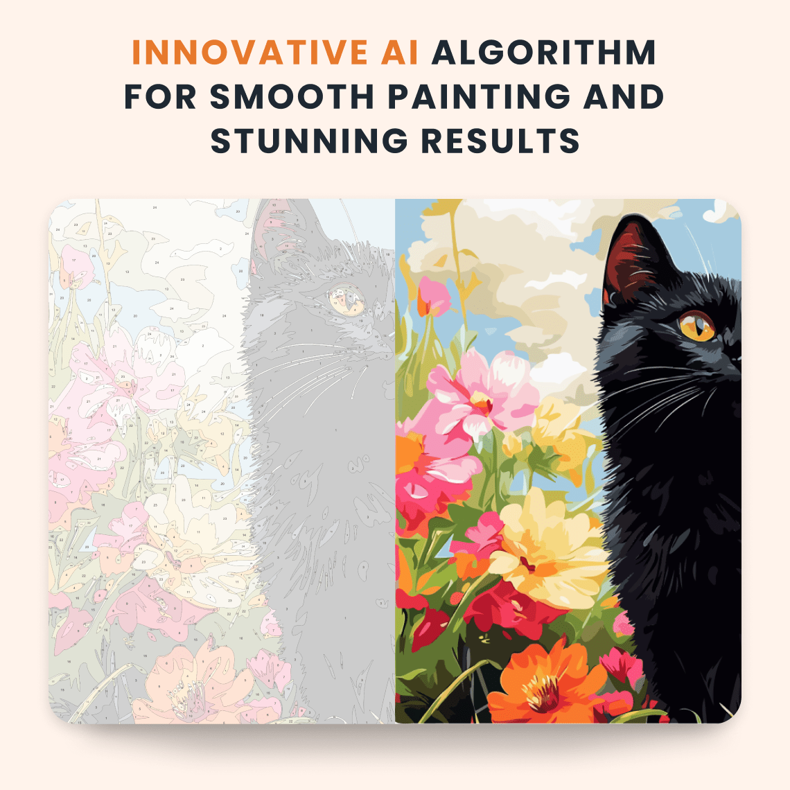 Paint by numbers - Curious Kitty - MyArt