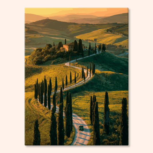 Paint by numbers - Cypress Road - MyArt