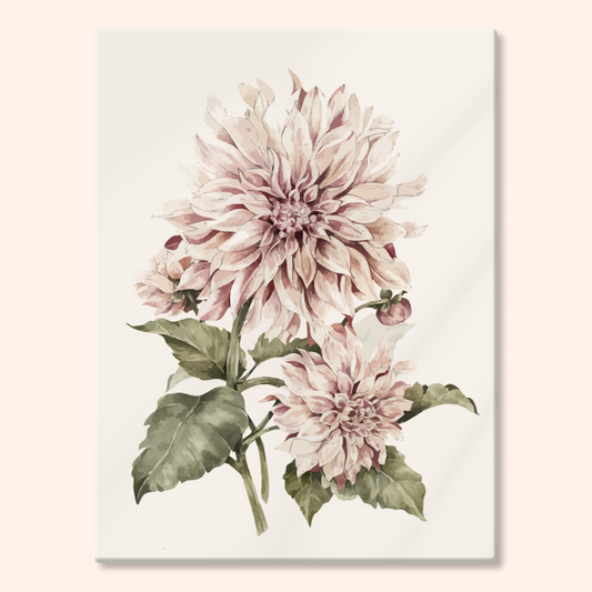 Dahlia