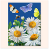 Daisies and Butterflies