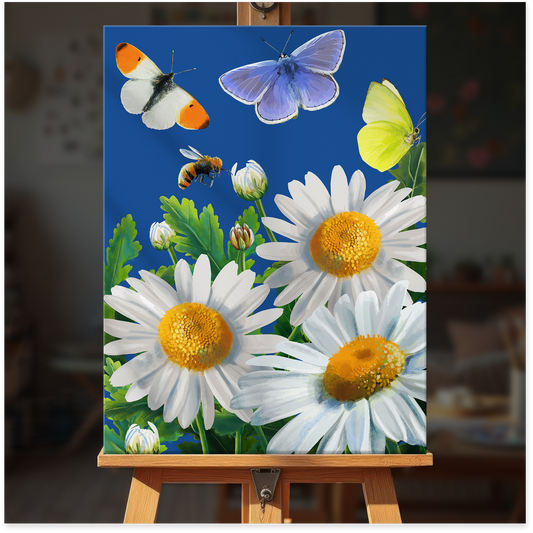 Daisies and Butterflies