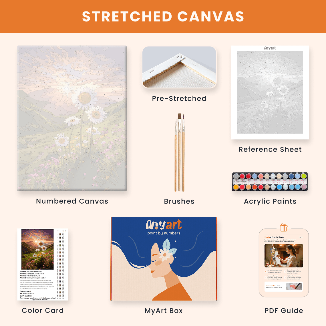 Paint by numbers - Daisy Dawn - MyArt