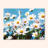 Daisy Sky