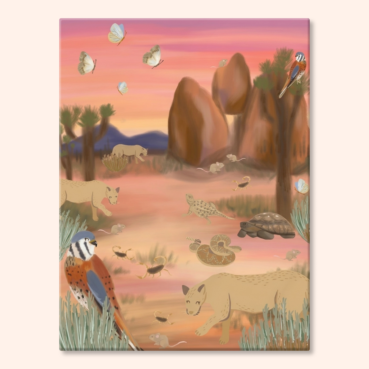 Desert Sunset
