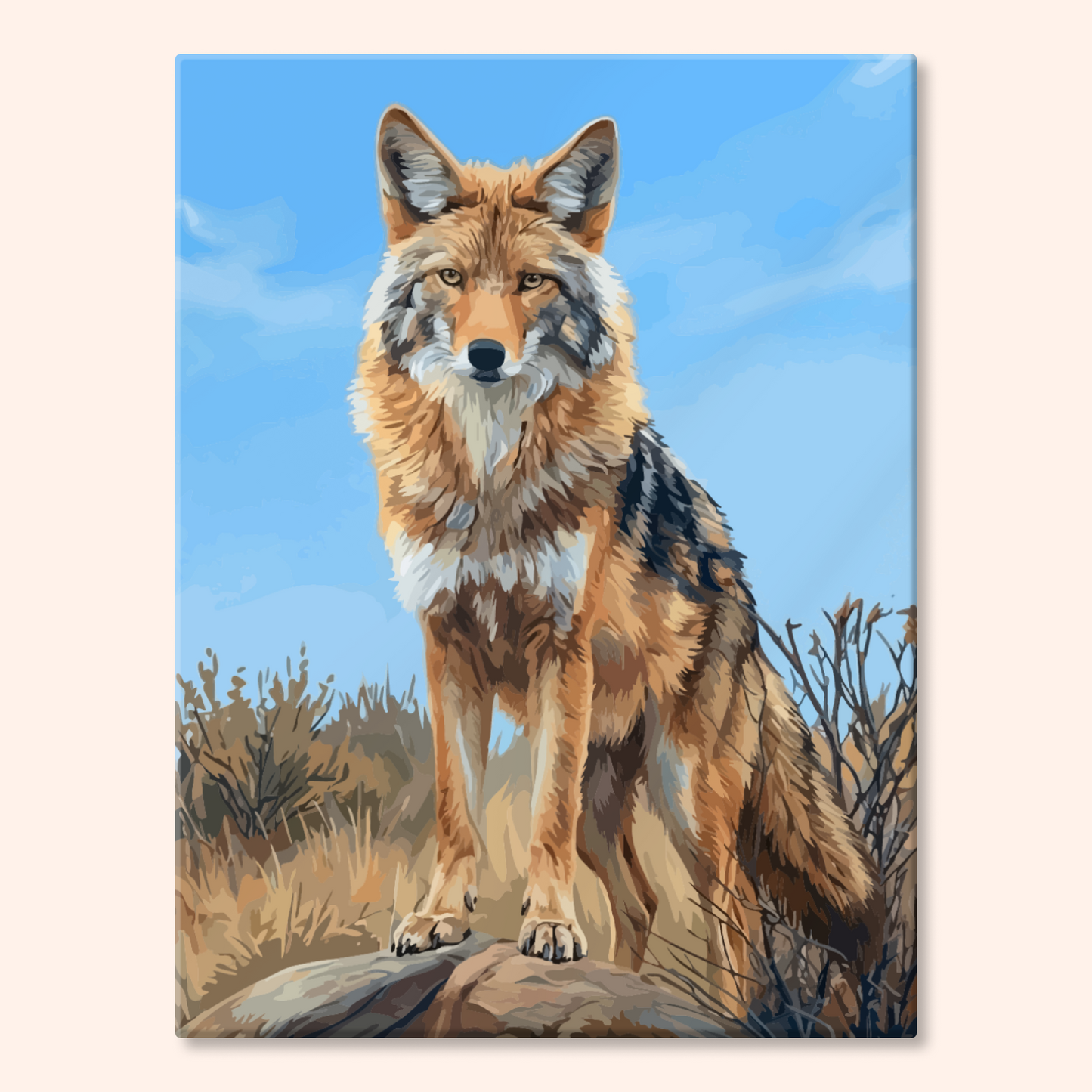 Desert Coyote