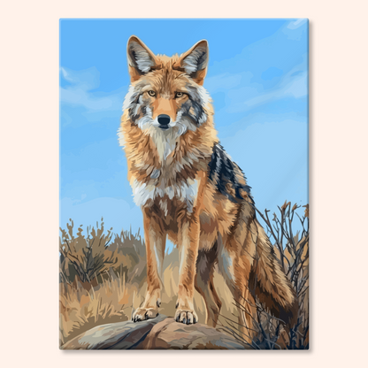 Desert Coyote