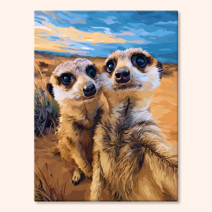 Desert Meerkats
