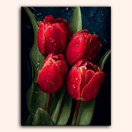 Paint by numbers - Diamond Grace - MyArt