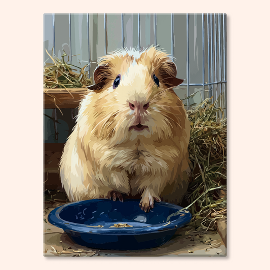 Dinner Guinea
