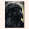 Ebony Beak
