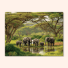 Elephant Oasis