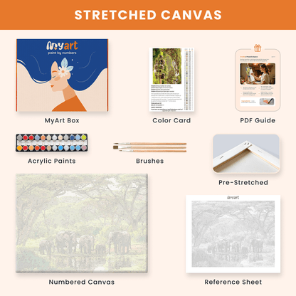 Paint by numbers - Elephant Oasis - MyArt