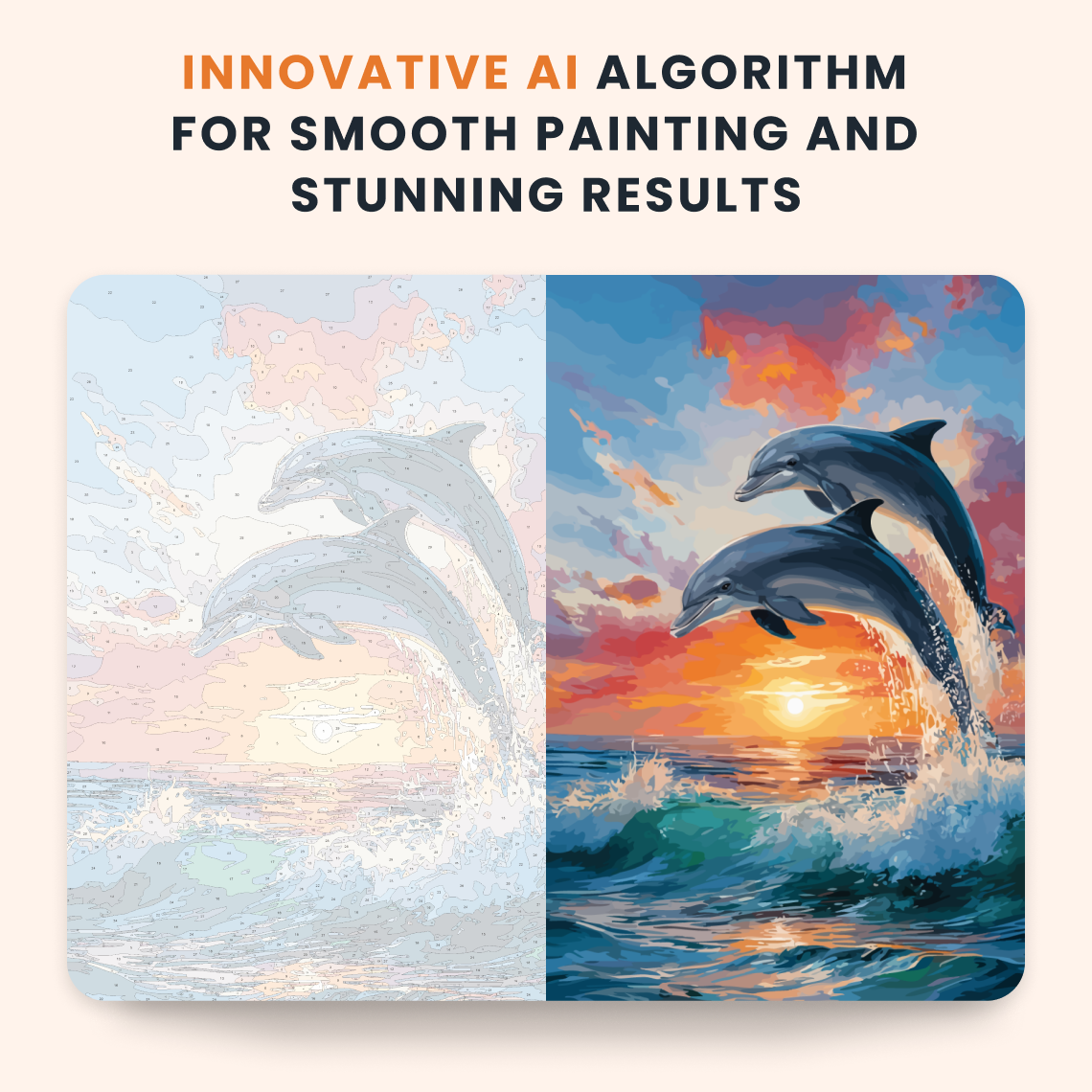 Evening Dolphin
