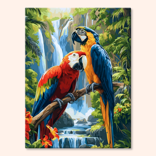Falls Macaws