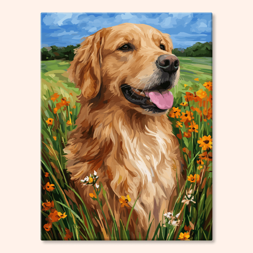 Paint by numbers - MyArt