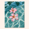 Floating Plumeria