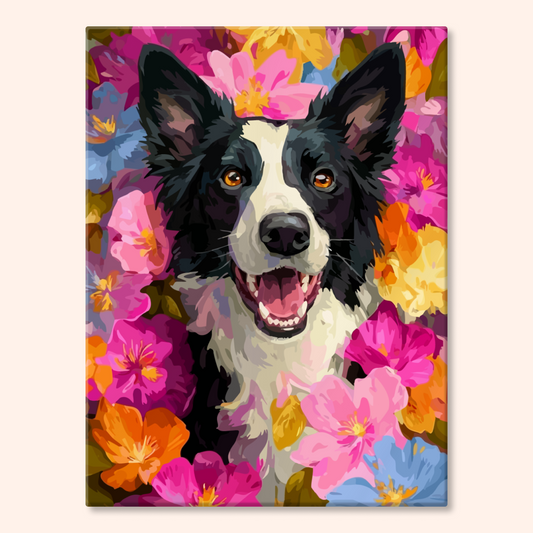 Floral Collie