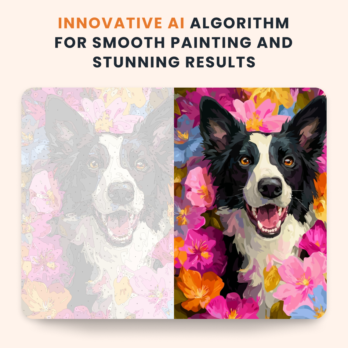 Floral Collie