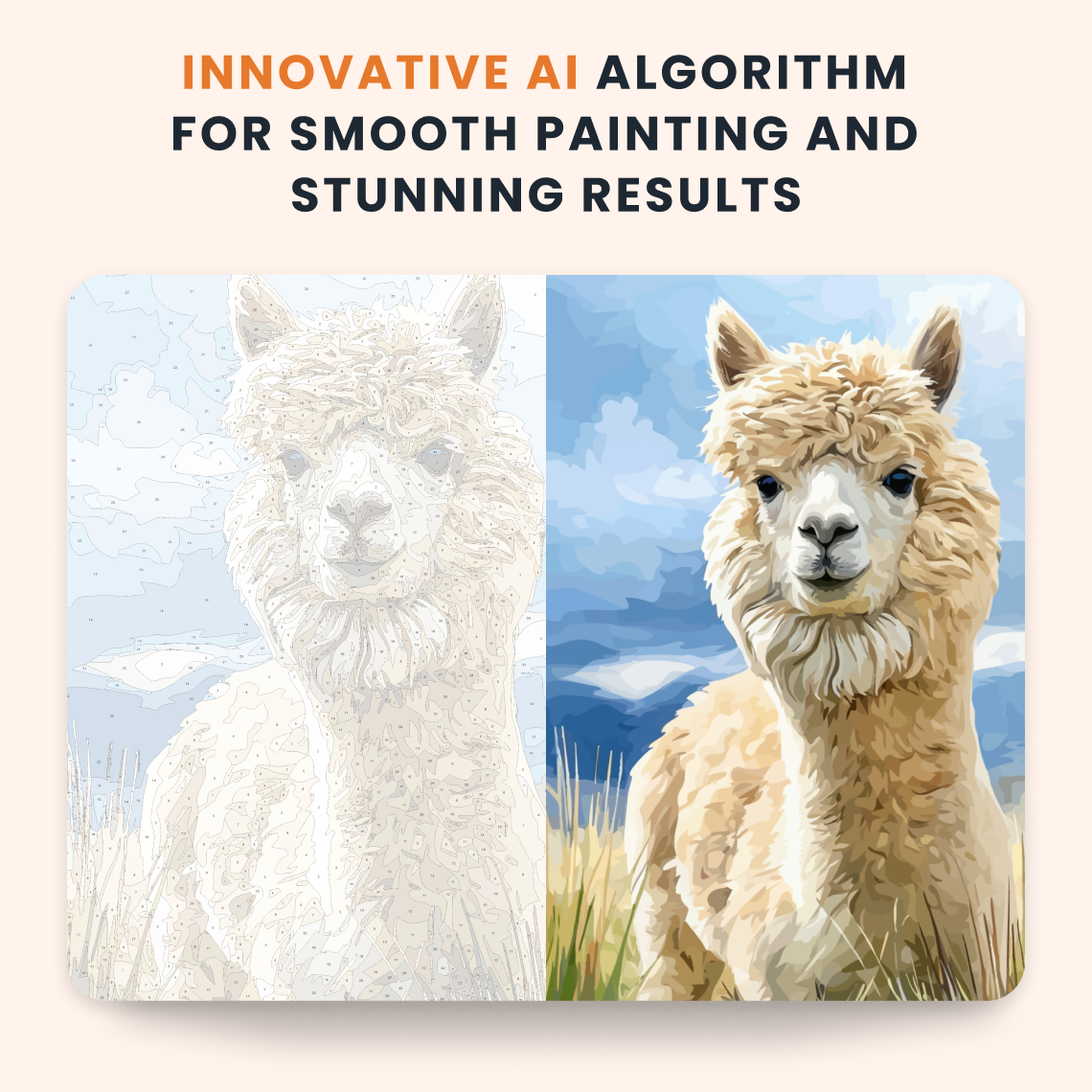 Fluffy Alpaca