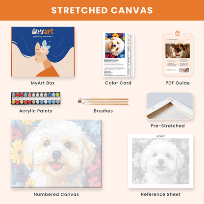 Paint by numbers - Fluffy Joy - MyArt