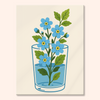 Forget Me Not
