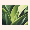 Fresh Greens