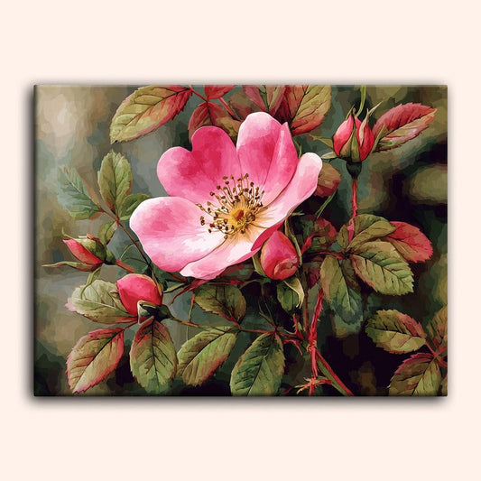 Paint by numbers - Garden Bloom - MyArt
