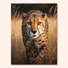 Golden Cheetah