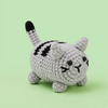 Grey Striped Cat