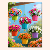 Hanging Blooms