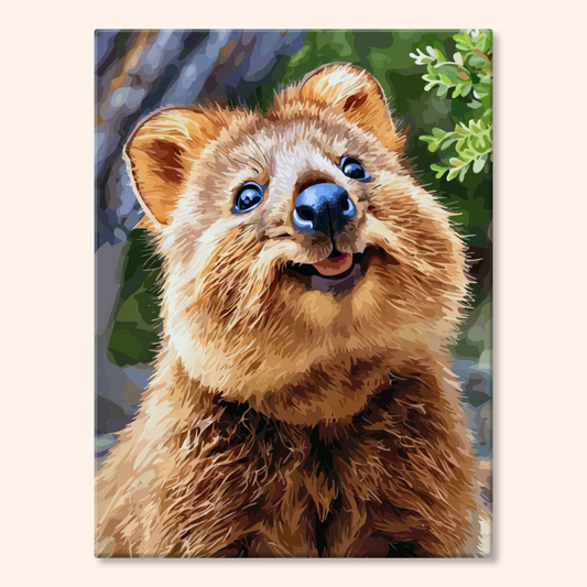 Happy Quokka