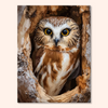 Hollow Owl