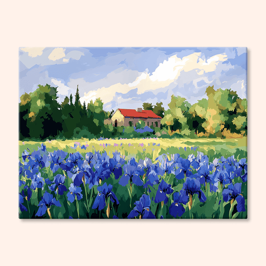 Paint by numbers - Irish Cottage - MyArt