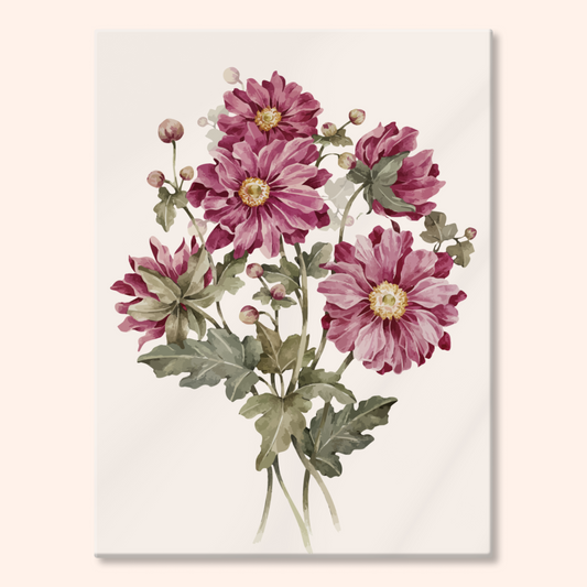 Japanese Anemone